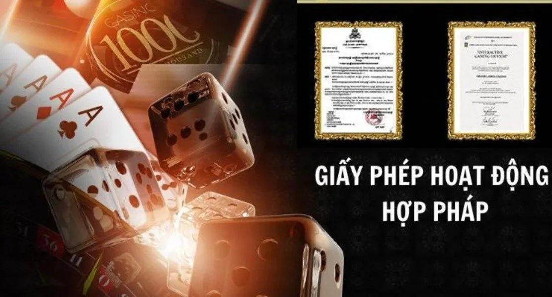 Các giấy phép kinh doanh 123B hợp pháp đang sở hữu