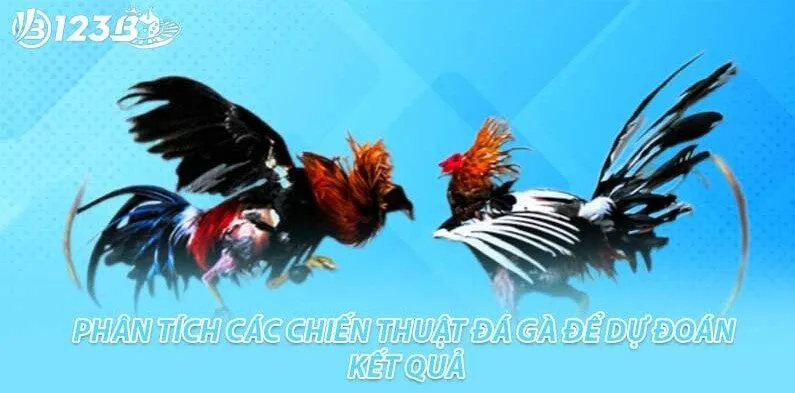 Hướng dẫn cách chơi đá gà trực tuyến tại 123B